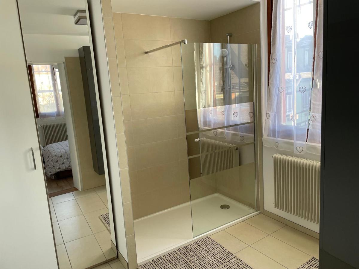 Appartement Le Fil D'Or Colmar Exterior foto